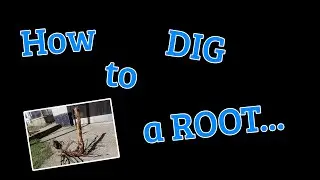 How to dig a root by Cako