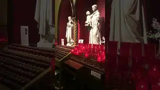 #catholicchurch #catholicmass #catholic #holyfamily #shorts #happysunday #gregorianchants