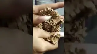 Paper Crumbling Satisfying Sound.                                                  #crumbling