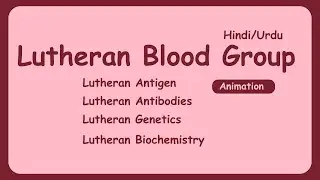 Lutheran Blood Group system | Lutheran antibody, antigens and Genetics