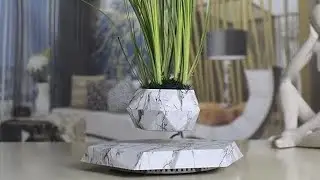 Floating Plant Pot Planter Suspension Air Bonsai Pot Flower Pot Levitating Plant Pot for Home Office