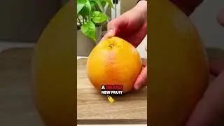 This Fruit Was A Mistake! (Here's Why)