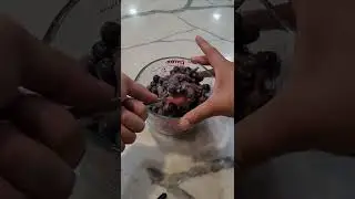 Blueberry jam:sous vide style #shorts