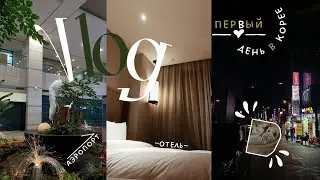 ПЕРВЫЙ ДЕНЬ В КОРЕЕ | ОТЕЛЬ | УЖИН В РЕСТОРАНЧИКЕ | Сдаём тест на covid?