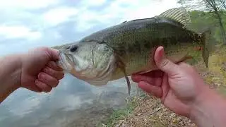 After work Bassin at Lake Gordon PA