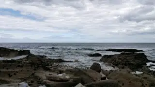 Walking Around &Icirc;le Grande 22560 Pleumeur-Bodou, C&ocirc;tes d'Armor, Brittany France 29th April 2024 #walk