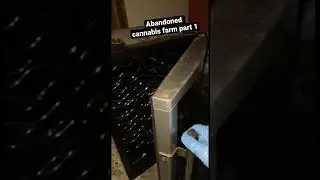 Abandoned cannabis farm part 1