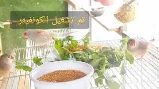 تبريد المحمية والإجابة على الاسئلة محمية عراقية فوق السطح