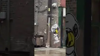 Pilsen,Chicago #snoopy #pilsenchicago #chicago #art #cartoon