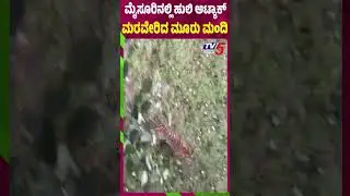 ಮೈಸೂರಿನಲ್ಲಿ ಹುಲಿ ಅಟ್ಯಾಕ್​​​...ಮರವೇರಿದ ಮೂರು ಮಂದಿ | Mysore | Tv5 Kannada
