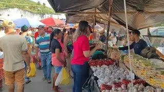 Feira Livre de Igaci em Alagoas. 2025/08/13 Nordeste Brasil 