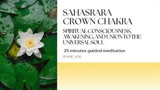 Guided Meditation &ndash; Crown Chakra: Spiritual Awareness, Awakening and Unity &ndash; 25 minutes