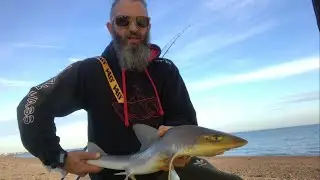 Fishing Hayling island tide High-low