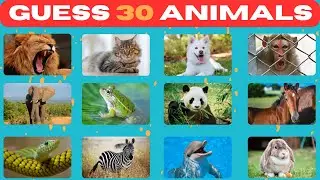 Can You Name These 30 Animals Quickly?