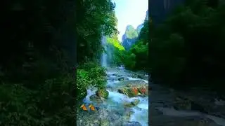 🛑 Beautiful😍✨❤ || Nature🌿🍃 || Waterfall video || Relax Studio (2)