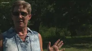 Mountain lion sighting reported in Hutto | KVUE