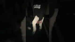 Ytnz