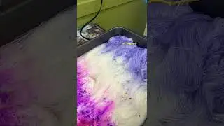 Indie Yarn Dyer - Pixie Dust