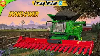 Sunflower Harvesting And Making Oil, Selling Goods | John Deere & CaseIH Farm #85