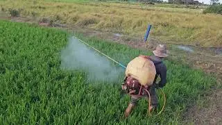 Farmer spraying protect insects 🌾❤️️ 