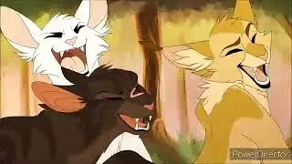 Hero by skilette Warrior Cats PMV