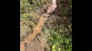We finally have farm drainage