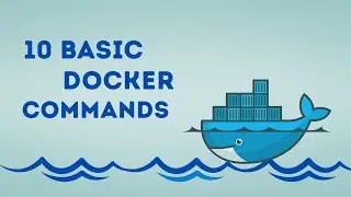 Top 10 Docker Commands for Beginners