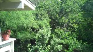 University Hills Home for sale - 2405 LeHigh, Austin TX 78723