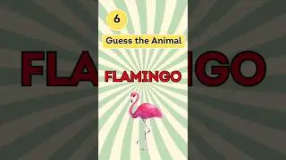 Guess the Animal: Unscramble the Scrambled Words #quiz #animaltrivia #shortsyoutube #scrambledwords