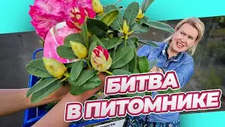 СМЕТАЮТ ВСЕ В ЧЕРНУЮ ПЯТНИЦУ @ecoplantgroup