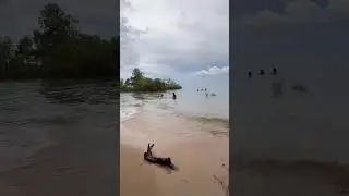 suara ombak dipantai temani pemandangan yang indah #pantai #laut #ombak #view #shorts