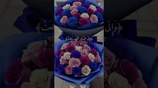 #youtubeshorts #quranislife #quranrecitation #shortsyoutube