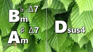 Bbm maj7 (A#m maj7) to Dsus4 Backing Track