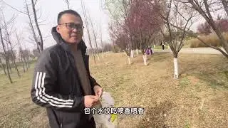 问回社和媳妇2002年高一前后桌，来山东济南玉清湖采野菜，赏花