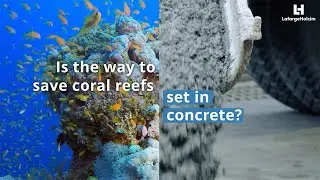 Is the way to save coral reefs set in concrete?