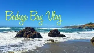 Bodega Bay Vlog
