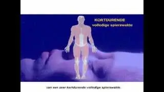 Flauwvallen - Wat zijn de oorzaken?