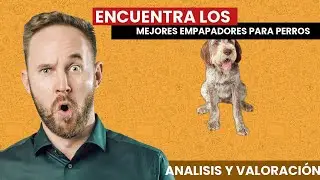 Encuentra los MEJORES EMPAPADORES para PERROS 🐩 🐶🐕🐩