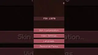 Breaking Minecraft's FOV! #shorts