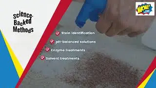 Targeted Carpet Stain Removal in Greater Brisbane | Professional Treatment Without Replacement