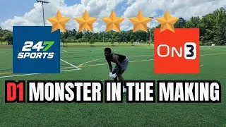 How I&rsquo;m Turning This Raw DB Into a D1 Monster