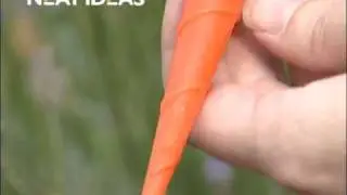Neat Ideas Watering Spikes