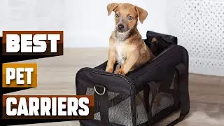 Best Pet Carrier In 2026 - Top 10 Pet Carriers Review