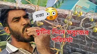​ছুটির দিনে সবুজের পরিচর্যা।