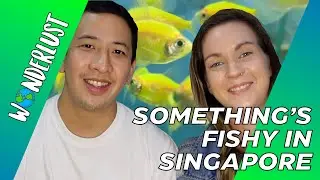 LOOK WHAT WE FOUND IN THE MIDDLE OF NOWHERE! // Qian Hu Fish Farms Has SO MUCH to See!