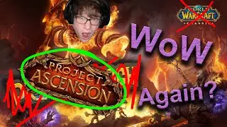 Project Ascension | Bronze Beard | Warcraft Reborn | Blood Elf Pally