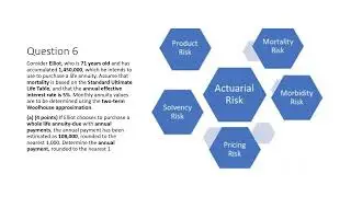 Ruth.M.Wallerlei / Actuariaat: Actuarial Models and Life‑Contingent Risk Problems
