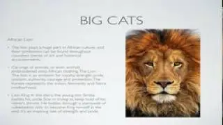 Animal Symbols