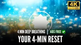 4 Minute Breathing Break For Peace | 4 Minutes | Technique With Counter Timer