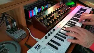 Behringer WASP Alva Nanoface - Ambient Electronic Session Music - Path of ice heat and cold